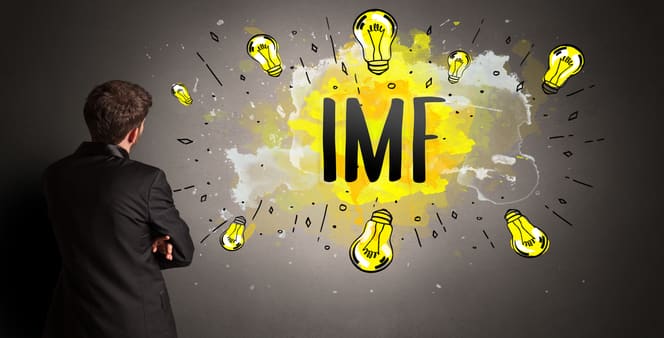 imf-full-form