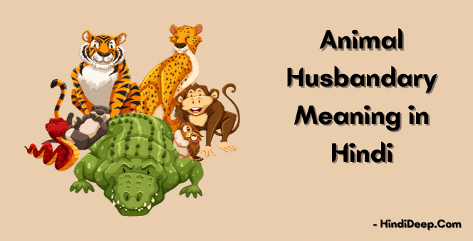 Animal-Husbandary-Meaning-in-Hindi