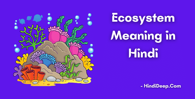 Ecosystem-Meaning-in-Hindi