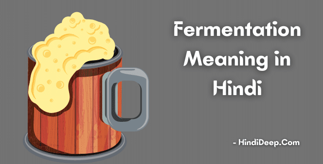 Fermentation-Meaning-in-Hindi