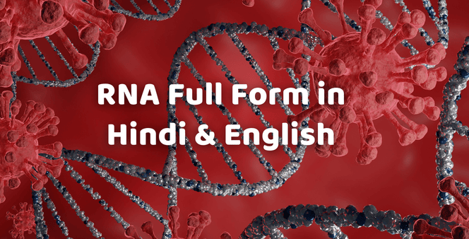 rna-ka-full-form-in-hindi